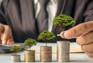 Investment Banking Professional